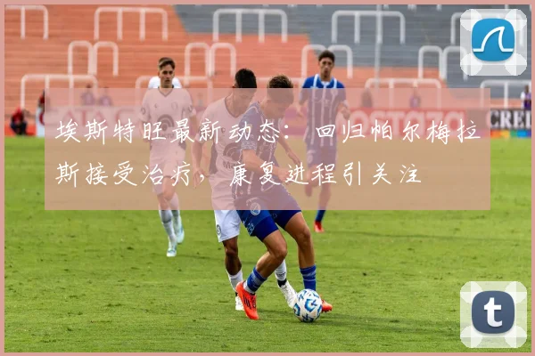埃斯特旺最新动态：回归帕尔梅拉斯接受治疗，康复进程引关注