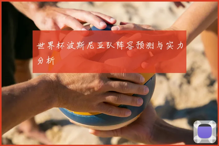 世界杯波斯尼亚队阵容预测与实力分析
